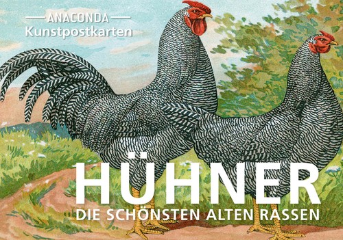 Postkarten set hühner - postkarten-set,