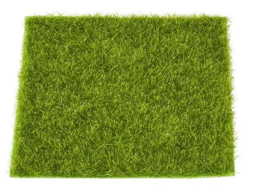 Gras matte rasen 14 - matte, cm