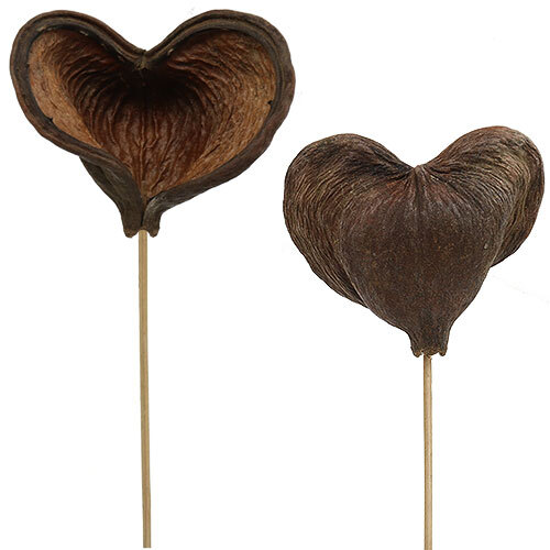 Badam stiel natur 12cm - badam, 6-12cm